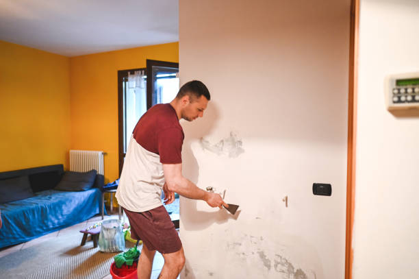 Best Kitchen Mold Remediation in Skidway Lake, MI